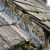 Roof inspection detail