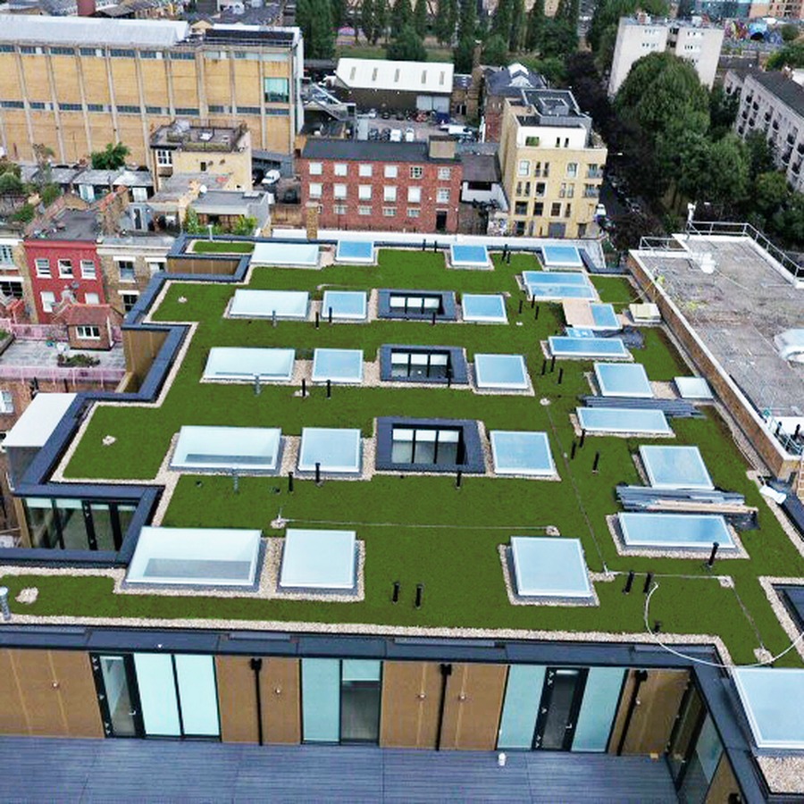Commercial roof access walkway and safety rail detail