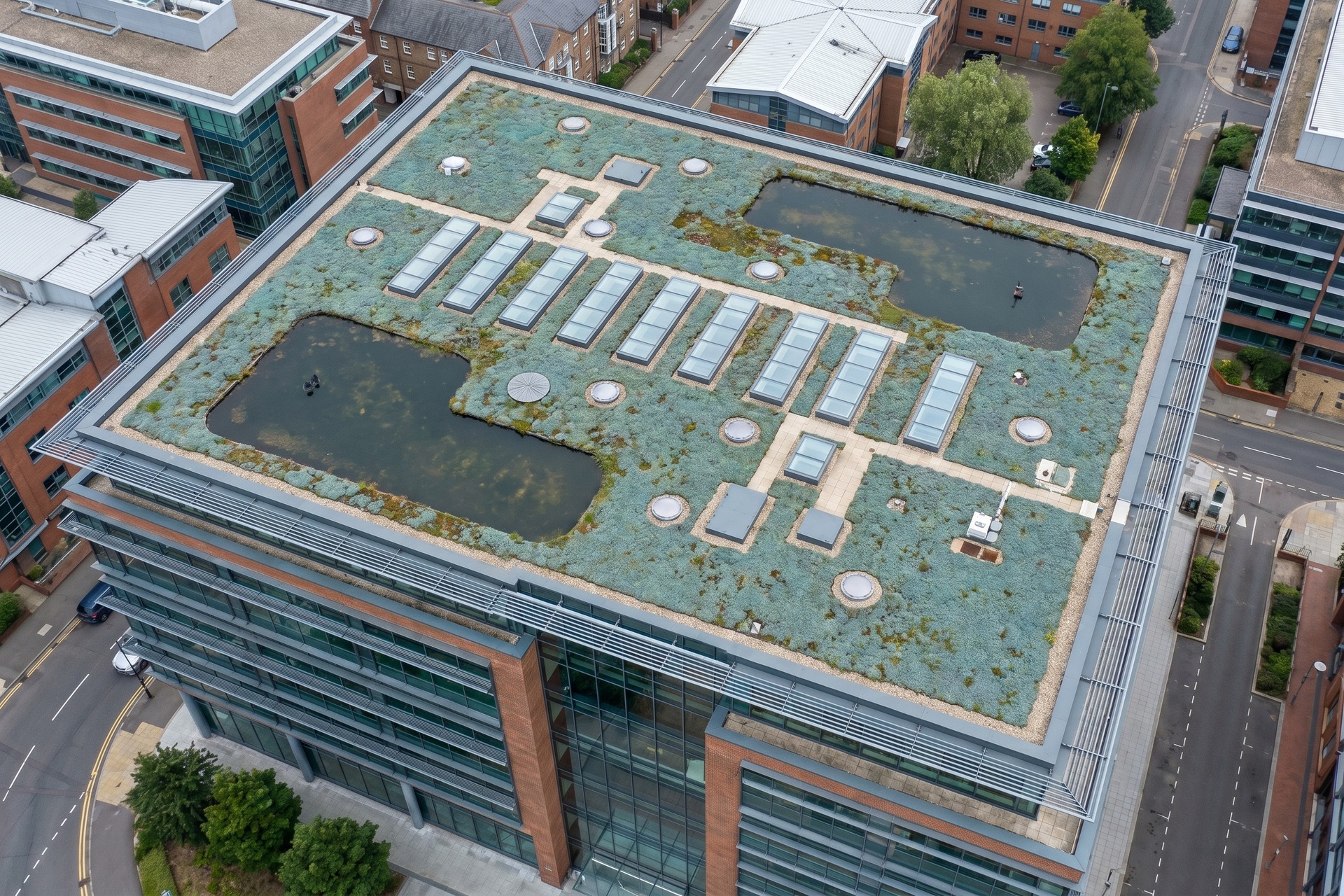Combined blue and green roof system